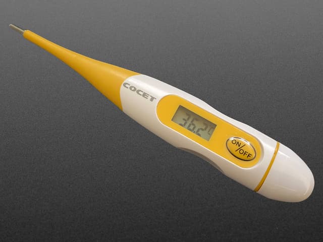 Basic Digital Body Thermometer in Celsius