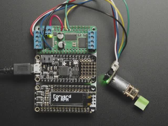 N20 DC Motor with Magnetic Encoder - 6V with 1:100 Gear Ratio