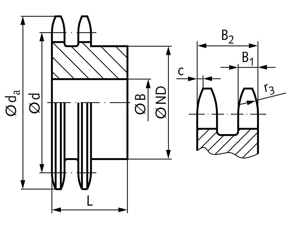 Double-strand sprocket ZRG with hub 10 B-2 5/8×3/8″ 12 teeth material steel teeth induction hardened