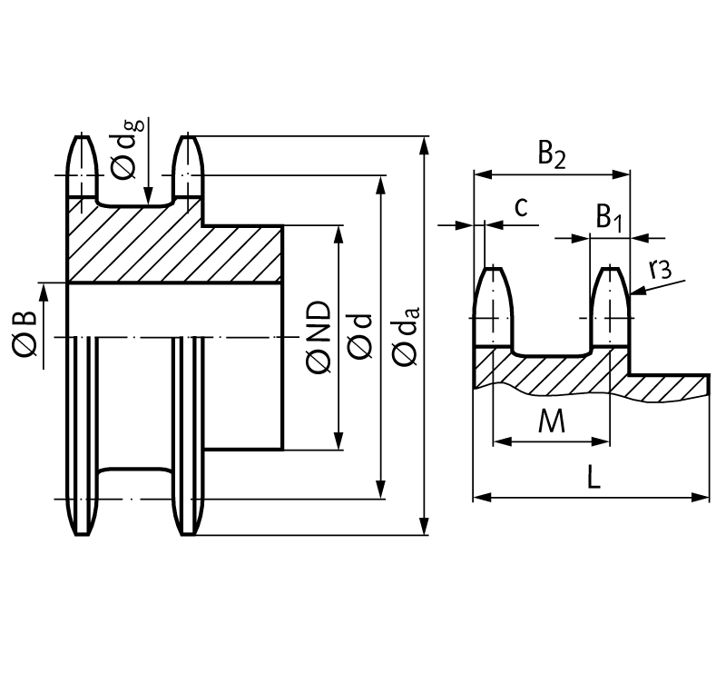 Double sprocket ZRENG for 2 single roller chains 16 B-1 12 teeth material steel teeth hardened