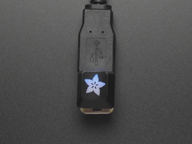 Adafruit Etched R4 Keycap for MX Compatible Switches
