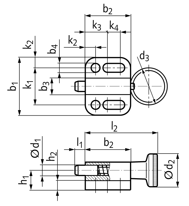 Index plunger 417 type A without rest position with lifting ring plunger diameter 5mm